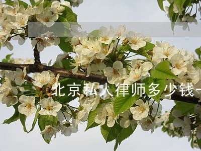 北京私人律师多少钱一年 北京私人律师多少钱一年