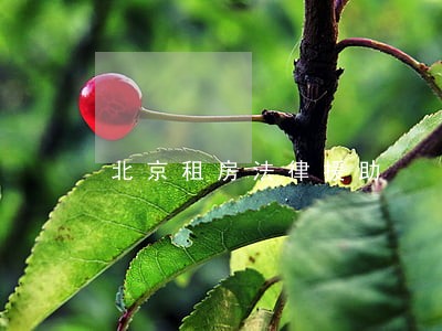 北京租房法律援助 北京租房法律援助