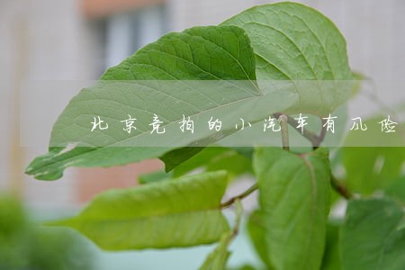 北京竞拍的小汽车有风险吗