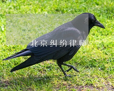 北京纠纷律师 北京纠纷律师