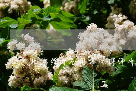 北京经济合同案件律师价位