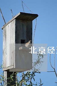 北京经济合同案律师微信咨询