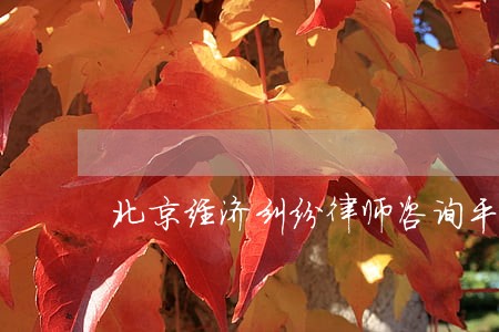 北京经济纠纷律师咨询平台 北京经济纠纷律师咨询平台