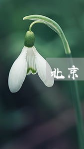 北京网友举报路上违法车辆 北京网友举报路上违法车辆