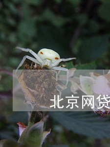 北京网贷负债逾期处理方法 北京网贷负债逾期处理方法