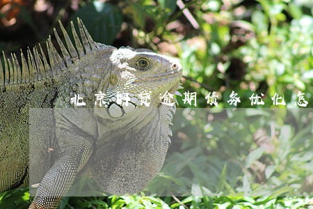 北京网贷逾期债务优化怎么收费 北京网贷逾期债务优化怎么收费