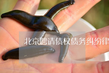 北京聘请债权债务纠纷律师费用