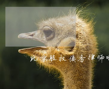 北京股权债务律师哪家好 北京股权债务律师哪家好