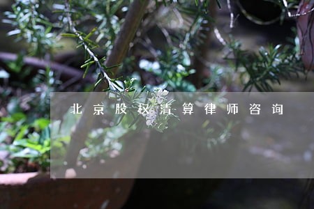 北京股权清算律师咨询 北京股权清算律师咨询