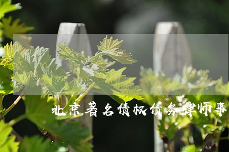 北京著名债权债务律师事务所律师 北京著名债权债务律师事务所律师