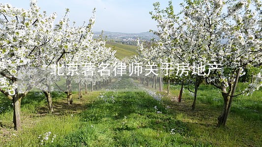 北京著名律师关于房地产