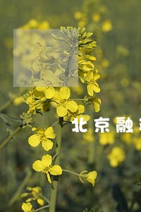 北京融英乐知科技有限公司逾期 北京融英乐知科技有限公司逾期