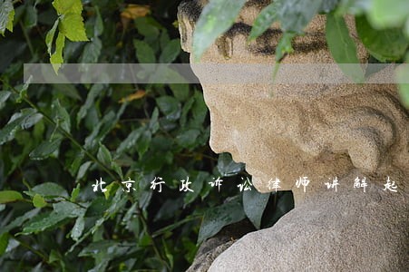 北京行政诉讼律师讲解起诉 北京行政诉讼律师讲解起诉