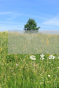 北京西城债务合同律师推荐 北京西城债务合同律师推荐