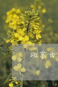 北京西城债务执行律师事务所 北京西城债务执行律师事务所