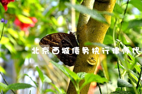 北京西城债务执行律师代理 北京西城债务执行律师代理