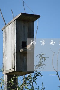 北京西城债务执行律师咨询 北京西城债务执行律师咨询