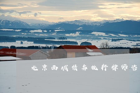 北京西城债务执行律师咨询费用
