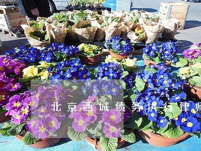 北京西城债务执行律师委托收费