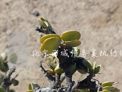 北京西城债务案执行律师事务所 北京西城债务案执行律师事务所