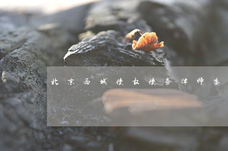 北京西城债权债务律师委托流程 北京西城债权债务律师委托流程