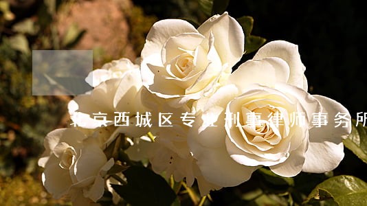 北京西城区专业刑事律师事务所