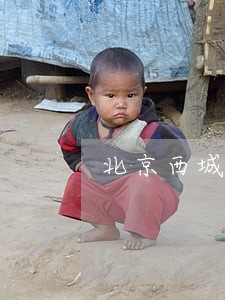 北京西城区振文律师观点