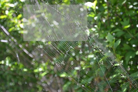 北京西城委托担保官司律师 北京西城委托担保官司律师