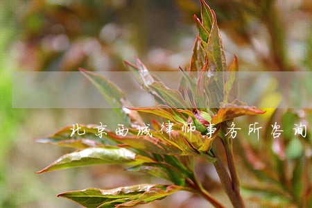北京西城律师事务所咨询电话 北京西城律师事务所咨询电话