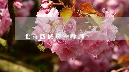 北京西城房产律师 北京西城房产律师