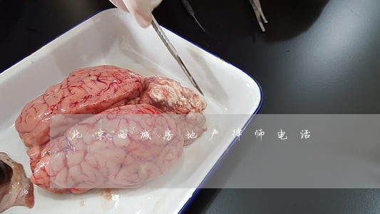 北京西城房地产律师电话 北京西城房地产律师电话