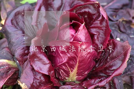 北京西城法院李卫东