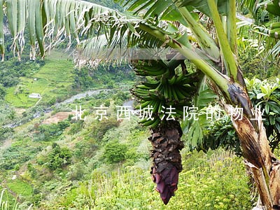 北京西城法院的物业 北京西城法院的物业