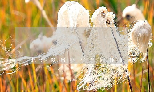 北京设备购买合同律师找谁 北京设备购买合同律师找谁