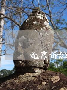北京诉讼保全担保 北京诉讼保全担保