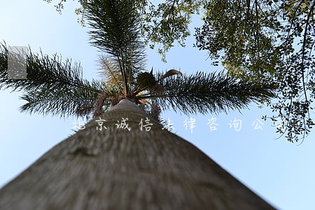北京诚信法律咨询公司 北京诚信法律咨询公司