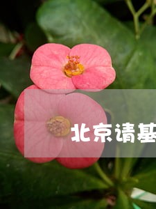 北京请基本农田征收律师服务