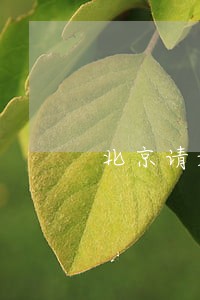 北京请婚姻家庭律师地址 北京请婚姻家庭律师地址