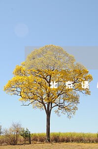 北京请房产继承律师价格 北京请房产继承律师价格