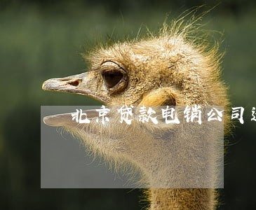 北京贷款电销公司违法吗 北京贷款电销公司违法吗