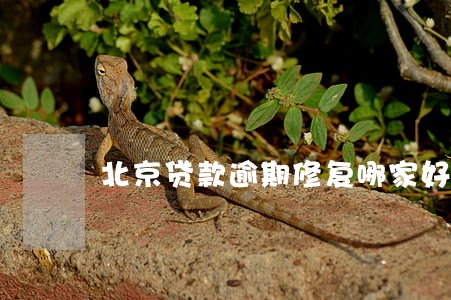 北京贷款逾期修复哪家好
