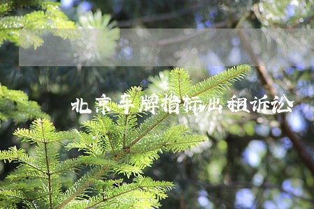 北京车牌指标出租诉讼 北京车牌指标出租诉讼