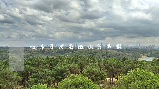 北京车牌违法租赁举报