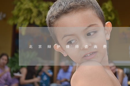 北京辩护律师咨询费 北京辩护律师咨询费