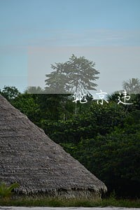 北京违法出租举报