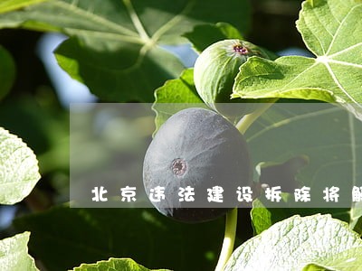北京违法建设拆除将解决问题 北京违法建设拆除将解决问题