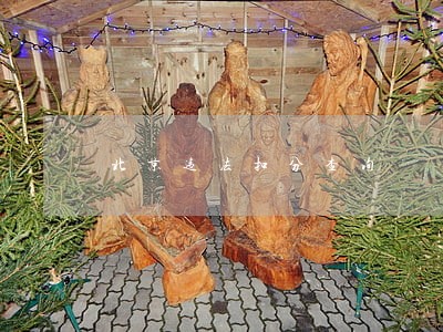 北京违法扣分查询