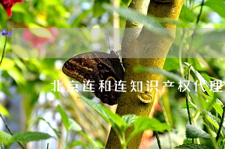 北京连和连知识产权代理有限公司 北京连和连知识产权代理有限公司