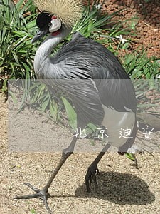 北京迪安鉴定招聘信息