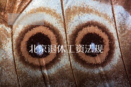 北京退休工资法规 北京退休工资法规